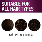 Schwarzkopf Keratin Permanent Hair Dye Cream, 4.6 Intense Cocoa, Professional Quality Color for Up to 100% Gray Coverage, Bond Enforcing System (Pack of 2)