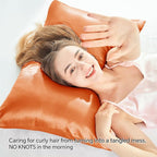 BEDELITE Satin Pillowcase with Zipper 2 Pack, Burnt Orange Pillow Cases Standard Size, Super Soft and Cooling Similar to Silk Pillow Cases, Gift for Women Men(20x26 Inches)