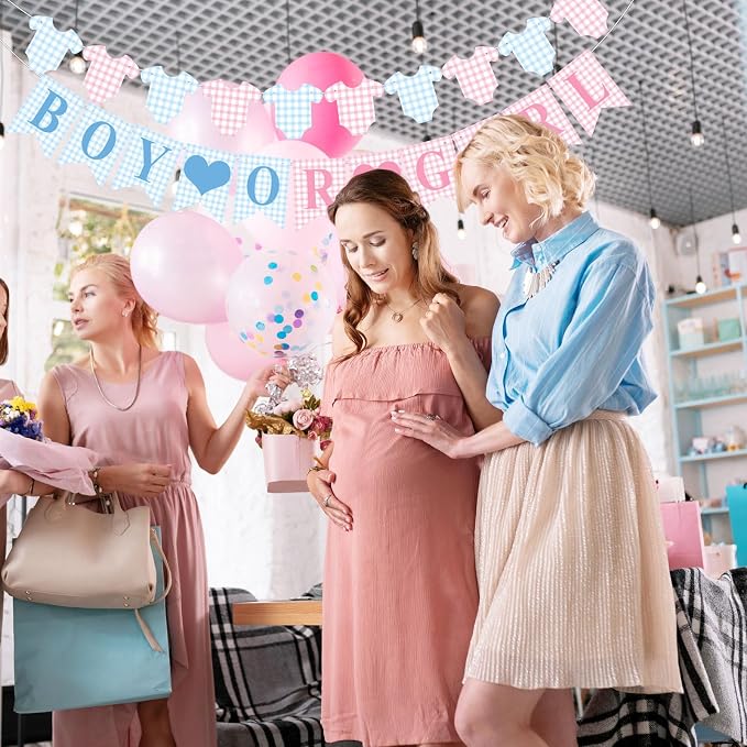 Hahafelt 1 Pcs Blue Pink Gingham Boy or Girl Clothesline Bodysuit Banner - Image 4