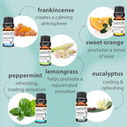 PURA D'OR Organic Sweet16 Essential Oils Set - 16x 10mL Wood Box Aromatherapy Gift Set - 100% Pure Therapeutic Grade for Relaxation and Wellness (Lavender, Rosemary, Turmeric, Ylang Ylang & More)