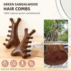 TAIHI Wooden Scalp Massager with Gift Box Wooden Comb Handmade Green Sandalwood Scalp Comb for Gua Sha Head Neck Face Care