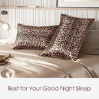 WLOSJ100% Silk Pillow Cases 2 Pack Queen Size Mulberry Silk Pillowcase for Hair and Skin Set of 2 Highest Grade 6A Silk Soft Breathable Cooling with Hidden Zipper, Leopard
