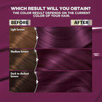 Garnier Hair Color Nutrisse Ultra Color Nourishing Creme, V2 Dark Intense Violet (Spiced Plum) Purple Permanent Hair Dye, 2 Count (Packaging May Vary)