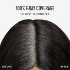 Madison Reed Root Perfection Permanent Root Touch Up, Darkest Brown 4N Spoleto, 10 Minutes for 100% Gray Root Coverage, Ammonia-Free Hair Dye, Two Applications