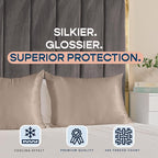 BLISSFORD Satin Pillowcase with Zipper, for Hair and Skin Care, Feels Soft and Cool Like a Silk Pillowcase, Satin Pillow Cases 2 Pack, Slik Pillow Cover, Pewter, Queen Size - Set of 2