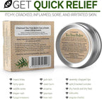 Chamuel Tea Tree Oil Balm – All Natural | Great Cream for Soothing Eczema, Cracked Foot, Rashes, Jock Itch, Bug Bites, Folliculitis, Acne, Itchy Skin, Psoriasis - Women & Men, 2.11 Ounce (Pack of 3)