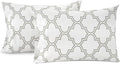 Lane Linen 100% Organic Cotton Pillow Cases Standard Size Set of 2 (20"x26") - Cotton Pillowcases Standard Size - Soft Standard Pillow Cases Set of 2 - Standard Pillowcase Pack of 2 - Trellis Silver