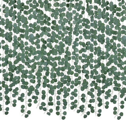 86 Feet 12 Strands Artificial Eucalyptus Leaf Plants Vine Hanging Eucalyptus by DearHouse