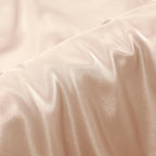 Aormenzy Beige Satin Pillowcase for Hair and Skin, Satin Pillow Cases for Women Standard Size Set of 2 with Envelope Closure Silky Pillow Covers Wrinkle, Fade Resistant (20x26 Inches)
