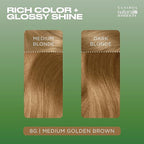 Clairol Natural Instincts Demi-Permanent Hair Dye, 8G Medium Golden Blonde Hair Color, Pack of 1