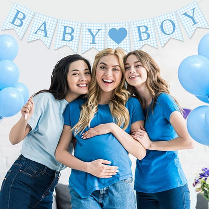 Hahafelt 1 Pcs Blue Gingham Baby Boy Banner - Image 3