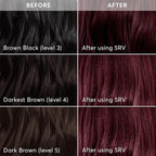 Madison Reed Radiant Hair Color Kit - 5RV Dark Garnet Red with Vibrant Red Violet Tones (Rimini Garnet) Vivid Color Permanent Hair Dye, PPD-Free & Ammonia-Free, 2 Pack