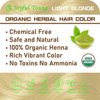 100% Organic Henna Hair Color – Natural, Chemical-Free Hair Dye for Rich, Vibrant Color & Gloss – Grey Coverage, Safe for All Hair Types, Vegan Non-Toxic, Herbal Hair Treatment (LIGHT BLONDE)
