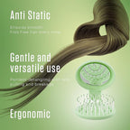 Mini Detangler Travel Hair Brush with Mirror, Makaron Hair Brushes for Women, Men and Kids, Unique 3D Flexible Design for All Hair Types, Styling Accessory, Travel Essentials for Women (GREEN)