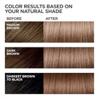 L'Oreal Paris Feria Multi-Faceted Shimmering Permanent Hair Color, B61 Downtown Brown, Hair Dye Kit, Pack of 2