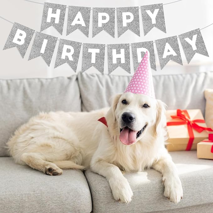 Silver Happy Birthday Banner Happy Birthday Sign - Image 8