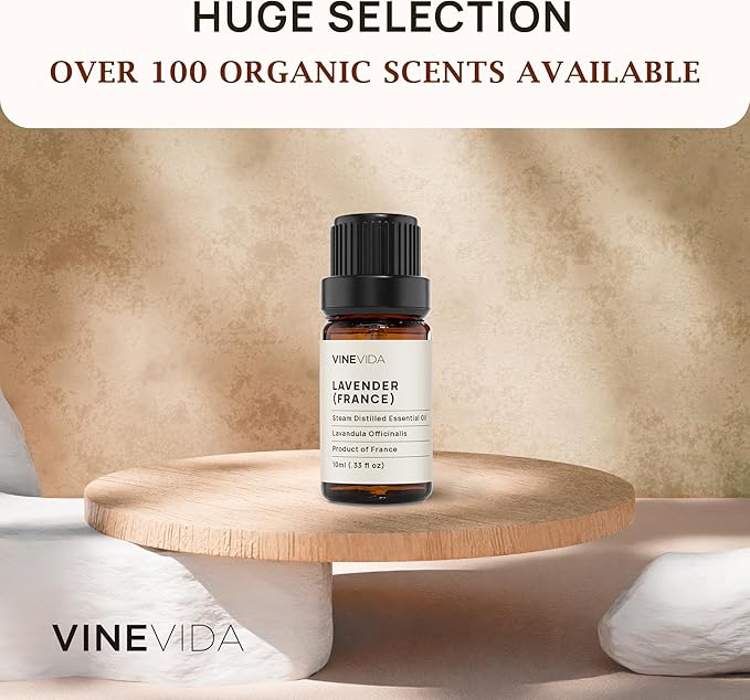 VINEVIDA Lavender France Essential Oil 10 mL - Undiluted Lavender Oil 10 mL - Lavender - DIY Candle Scents for Candlemaking - 10 mL Essential Oil for Soap Making Safe for Skin (4OZV-OBP-LAV-FRA-10ML)