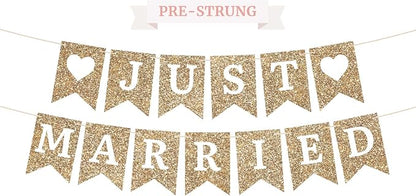 Pre-Strung Just Married Banner by PerfectOccasion