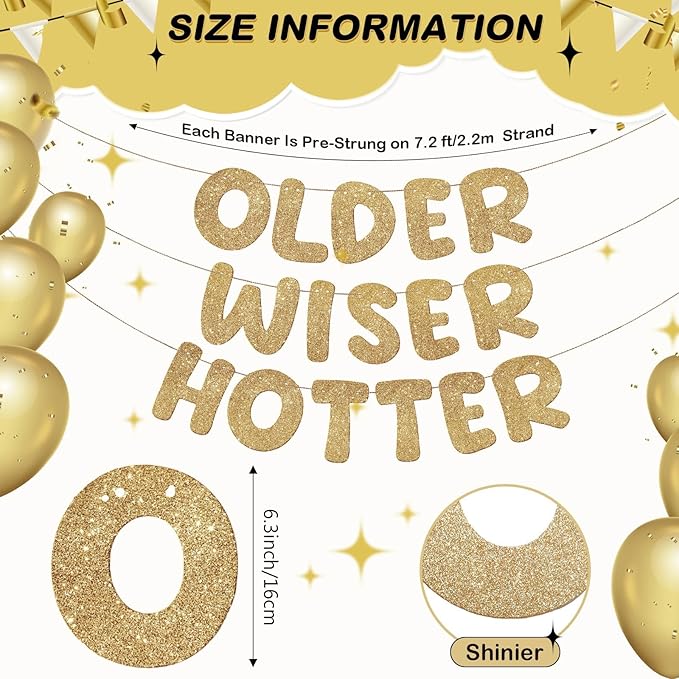 Fulmoon Set of 3 Pre Strung Older Wiser Hotter Glitter Banner Funny Birthday - Image 3