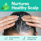 500 ml Pure Aloe Vera Gel for Hair and Skin, Hydrating & Non-Sticky, Soothes Scalp and Skin, No Strong Scent, Lightweight & Fast-Absorbing Pure Aloe Vera Gel for Body, glass bottle.