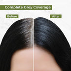 Indus Valley Organic Damage Free Gel Hair Color | Gray Coverage of Resistant Gray Hairs - Ammonia-Free & Vegan - Salon Influenced Hair Dye | Permanent Hair Dye For Women, Black 1.0, 8.45 fl. oz.