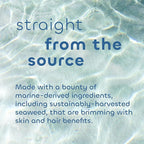Seaweed Bath Co. Gentle Conditioner, Unscented, 12 Ounce, Sustainably Harvested Seaweed, Aloe, Argan Oil, for Sensitive Scalps