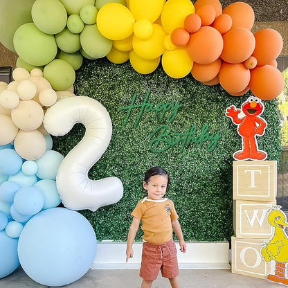 Happy Birthday Sign for Backdrop - Image 6