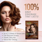 Herbishh Travel Pack Hair Dye Color Shampoo in Sachet + 1pc Argan Hair Mask Sachet (Chestnut brown, 1 sachet)