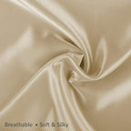 BLISSFORD Satin Pillowcase with Zipper, for Hair and Skin Care, Feels Soft and Cool Like a Silk Pillowcase, Satin Pillow Cases 2 Pack, Slik Pillow Cover, Champagne, Queen, Set of 2