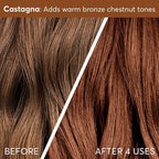 Madison Reed Color Therapy, Castagna, Color Depositing Hair Mask & Deep Conditioning Treatment, Intensely Hydrating, Refreshes Color & Tone, Keratin & Argan Oil, 4 Fl Oz (118 mL)