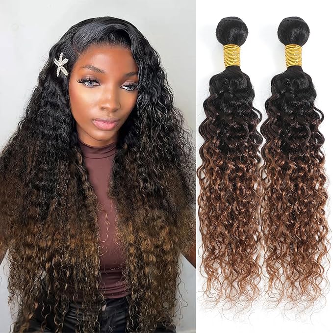 Water Wave Ombre Bundles Human Hair T1B/2/30 Chestnut Brown Ombre Color 2 Bundles of 12 Inch 100% Real Human Hair Unprocessed Raw Material For Quicky Weave