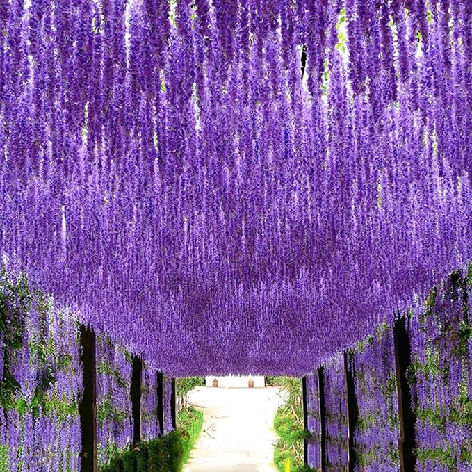 Artificial Wisteria Hanging Flowers-Fake Wisteria Flower Garland Silk Vines - Image 9