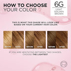 L'Oreal Paris Excellence Crème Permanent Hair Dye, Triple Care Hair Color with Pro-Keratine Complex for 100% Gray Hair Coverage, 6G Light Golden Brown, 1 Kit