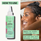 Pacifica Scalp Detox Set – Rosemary Apple Cider Vinegar Scalp Exfoliating Tonic with Scalp Massager Brush, Deep Cleansing & Clarifying Treatment for Buildup, Dry Flaky Scalp, Vegan