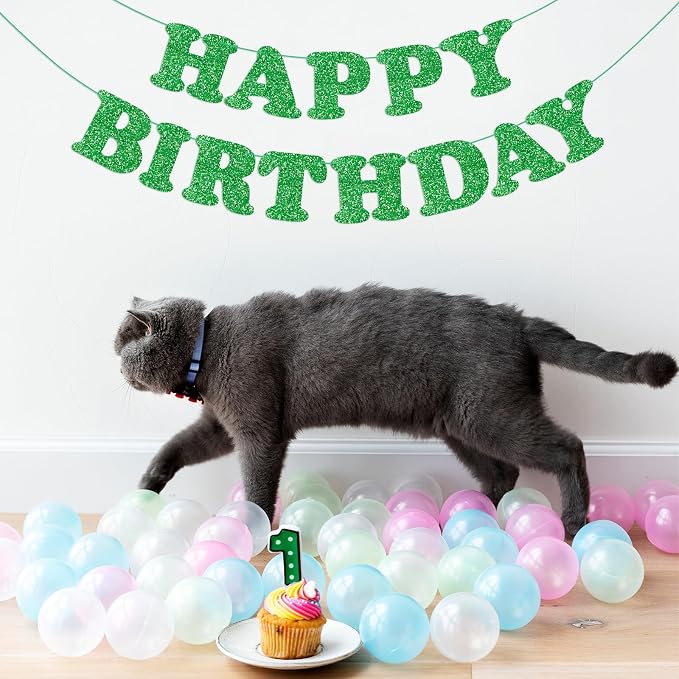 Green Happy Birthday Banner Birthday Party Decorations Happy Birthday Banner - Image 9