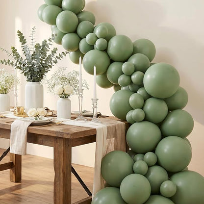 Sempertex Deluxe Eucalyptus Balloons, 5 Inch, Graduation, Baby Shower, - Image 3
