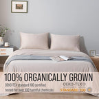 Bella Coterie | Luxury Bamboo Viscose King Size Pillowcase Set | 100% Organically Grown | Ultra Soft | Cooling | 2 Pcs [Dune]