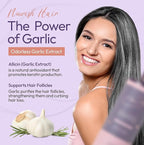 Nora Ross Garlic Extract Daily Shampoo with Argan Oil and Chamomile Scent – Strengthening and Thickening Shampoo for Women and Men – Color Safe Formula with Amino Acids for Normal to Dry Hair – 32oz