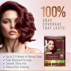 Herbishh Argan Hair Mask Shampoo - Natural Hair Dye for Gray Hair - Long-Lasting Color in Minutes - Travel Size - Ammonia-Free - 10+1 Pack (Grape Red)