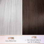 Herbishh Natural Hair Color Shampoo for Gray Hair - Argan Hair Mask, Travel Size, Long-Lasting Color, Ammonia-Free, 10 Pack + 1 Pack (Dark Brown)