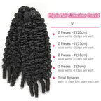 12 inch Burmese Curly Clip ins Natural Black Burmese Curly Clip in Hair Extensions Real Human Hair Brazilian Virgin Clip on Hair Extensions (12inch,#1B)