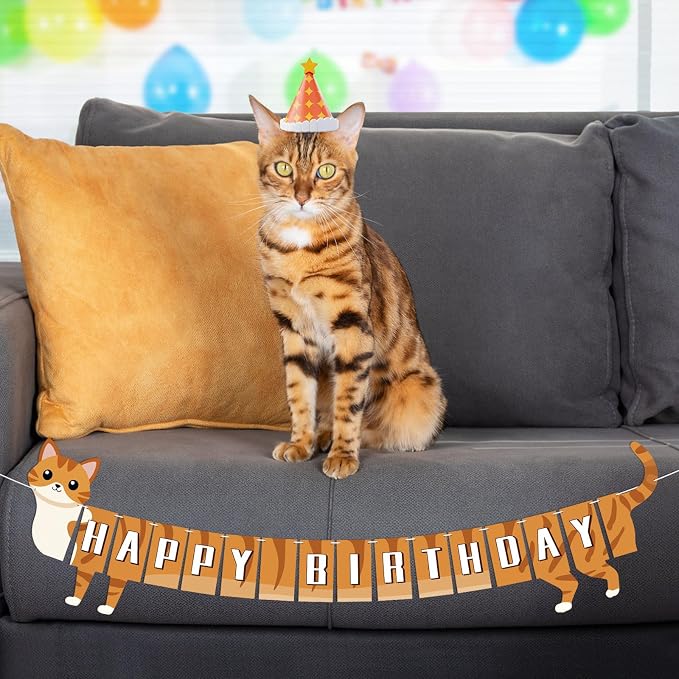 Cat Happy Birthday Banner Orange Cat Banner Bunting Flag Garland Party - Image 2