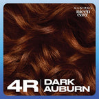 Clairol Nice'n Easy Permanent Hair Dye, 4R Dark Auburn Hair Color, Pack of 3