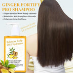 Soelegant Ginger Shampoo – Oil Control & Anti Hair Loss | Deep Cleanse & Scalp Care with Ginger Root Extract & Herbal Leaves | Anti Dandruff, Nourish & Volumizing for Men & Women, 10.144 FL OZ