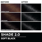 Garnier Hair Color Olia Ammonia-Free Brilliant Color Oil-Rich Permanent Hair Dye, 2.0 Soft Black, 2 Count (Packaging May Vary)