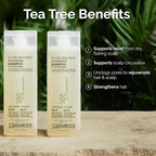 GIOVANNI Tea Tree Triple Treat Invigorating Shampoo - Cooling Peppermint, Eucalyptus & Rosemary, Helps Strengthen & Rejuvenate Hair & Scalp, Salon Quality, Paraben Free, Tea Tree Shampoo - 24 oz