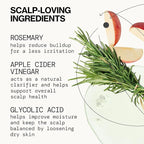 Pacifica Scalp Detox Set – Rosemary Apple Cider Vinegar Scalp Exfoliating Tonic with Scalp Massager Brush, Deep Cleansing & Clarifying Treatment for Buildup, Dry Flaky Scalp, Vegan