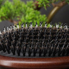 Lindale Boar Bristle Hair Brush for Women Men, Natural Black Zelkova Wooden Bristles Detangler Paddle Hairbrush for Hair Growth Beard, Reduces Static for Curly Hair with Ergonomic Handle