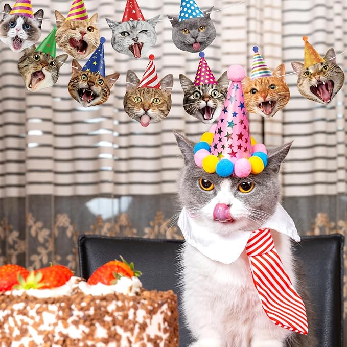 Hooqict Cat Birthday Banner Birthday Party Decorations - Image 5