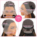 Ombre Lace Front Wig Human Hair Highlight Straight Lace Front Wigs Human Hair Pre Plucked 13x4 Transparent Lace Frontal Wig 200 Density Glueless 1B/30 Highlighted Wig 20 Inch